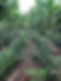 IMG_8950.jpeg