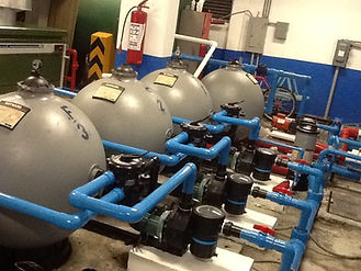 WhatsApp Image 2024-07-09 at 11.33.49 AM.jpeg