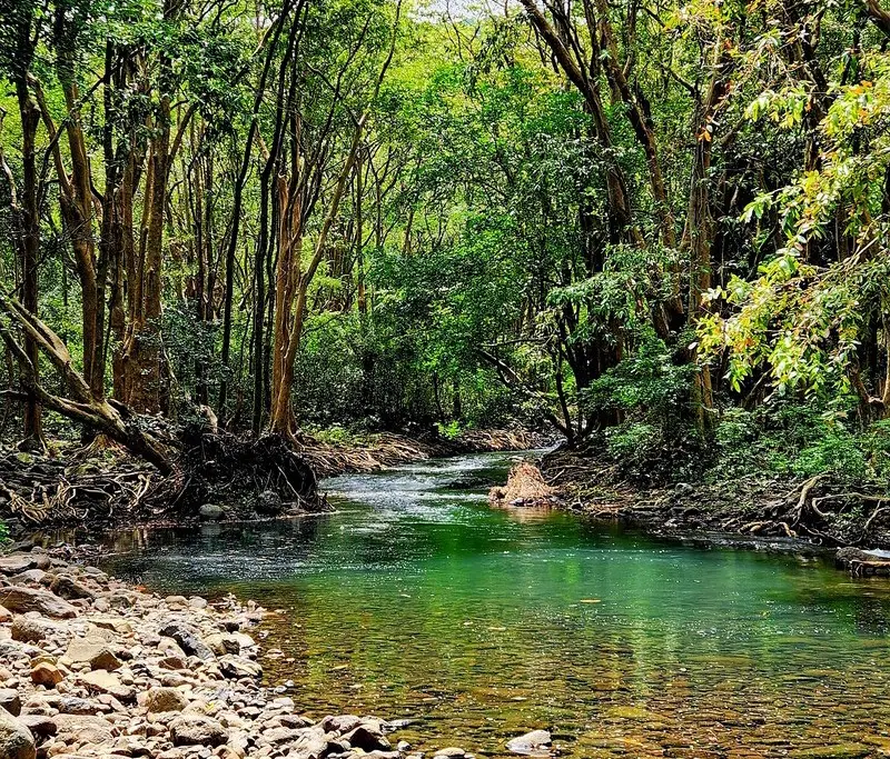Black River Gorges