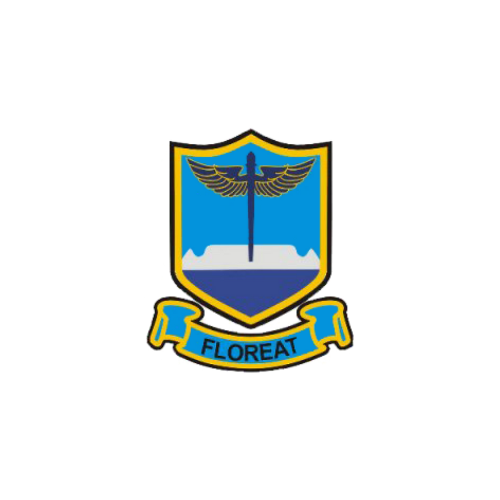 6.png