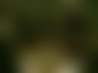 Leadership Principles That Stuck With Me — Army to Everyday Life