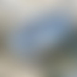 Terra - Sustainability Pavilion at the 2020 Dubai world expo stimulates co-creation