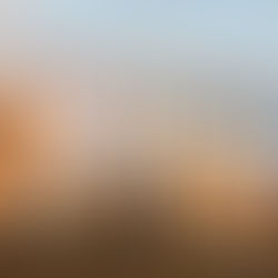 Stranded assets are the end game in fossil fuels