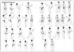 POOMSE TAEGUEUG TCHIL  JANG (N°7)