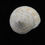 縮圖：Callistoma waikanae haurakiensis 44mm