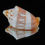縮圖：Cymbiola deshayesi 72.7mm