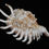 Thumbnail: Lambis (Millepes) millepeda 130.8mm