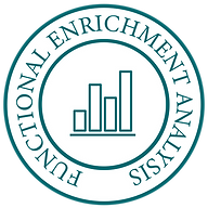 Functional Enrichment Analysis-01-01 (1)