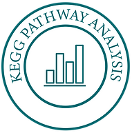 KEGG Pathway Analysis-01-01 (1).png