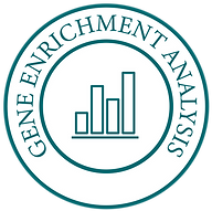Gene Enrichment Analysis-01-01 (1).png