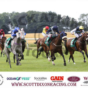 Optimickstickhill Storms Home At Thirsk Racecourse