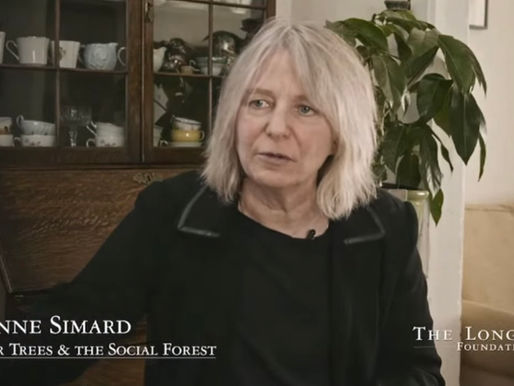 Suzanne Simard The Mother Tree