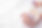 AdobeStock_558088705.jpeg