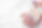 AdobeStock_558088705.jpeg