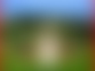 Discovering the Haifa Botanical Gardens: A Journey with Yehuda Singer