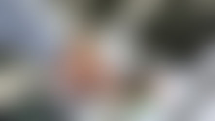 Bahia: ACM Neto e Jerônimo empatados na disputa pelo governo