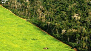 Brasil sobe dez posições em ranking de países com maior risco climático