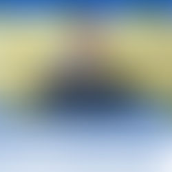 Saiba quem é o vereador gaúcho que ofendeu os baianos