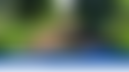 Entrega de declaração do ITR acaba esta semana; a Bahia lidera