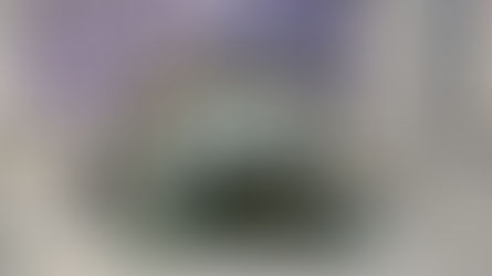 Polícia Civil apreende 70 quilos de maconha em fazenda no município de América Dourada!