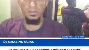 BAHIA/Tratorista morre após ser atacado por abelhas em João Dourado