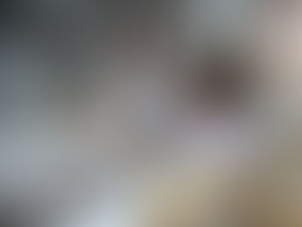 Brasil quantifica estoque de carbono em todos os biomas