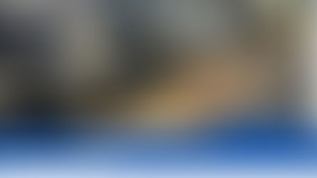 Mais de 60 veículos são leiloados pela Polícia Federal na Bahia