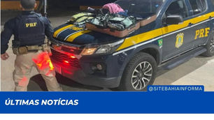 Com quase 70 mil comprimidos de ecstasy, adolescente é apreendida na BR-116