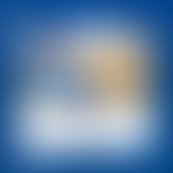 PRF resgata mais de 50 animais silvestres na Bahia.