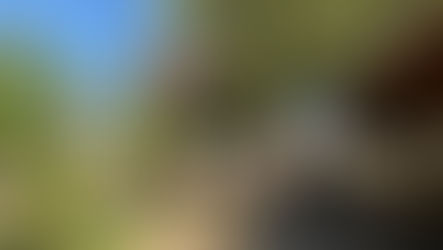 7 de setembro é marcado por solenidades da Polícia Militar em Irecê e Xique-Xique