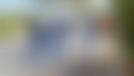 América Dourada: Mutirão realiza ações de limpeza na entrada da cidade.