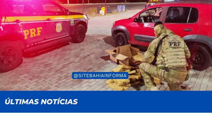 PRF prende na Bahia motorista por aplicativo com 51 Kg de maconha