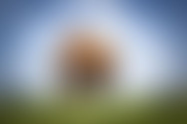 Verkoop punt - Sale point in Nederland