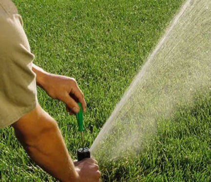 Flower, plant, and lawn watering services in Fulton County, Ohio