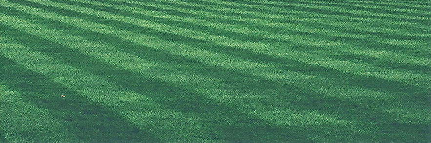 Beautifully maintained lawn with stripes in Fulton County, Lucas County, Wood County, and Henry County, Ohio