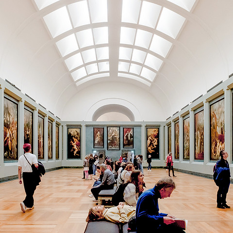 e365a849a8bb16b599a428d4af2f0bfe-27177-paris-louvre-museum---direct-access-to-the-mona-lis