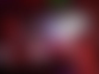 Voodoo Uncle Tupelo & Wilco - 8/30/23 ~ Broadway Oyster Bar - St. Louis, MO