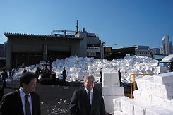 tsukiji.jpg