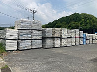 IMG_3675.JPG