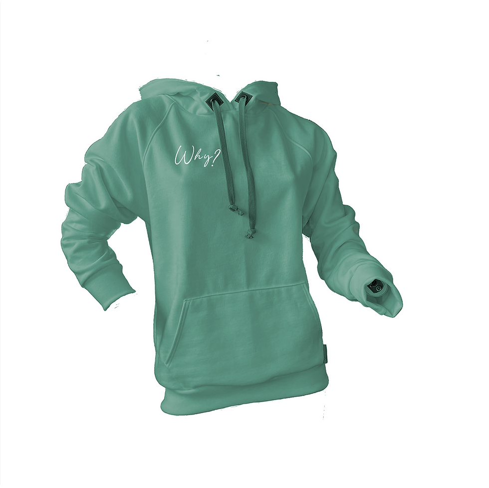 Miniaturbild: WHY? Hoodie