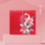 合時綻放 - 粉紅百合