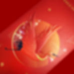 TheExecutiveCentre - 利是封
