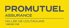 ValleedeLOuatouais_RECT_Jaune_Gris_rgb-1 800 567-1129.png