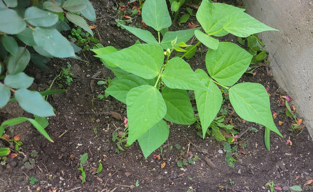 20220625_102134 (1).jpg