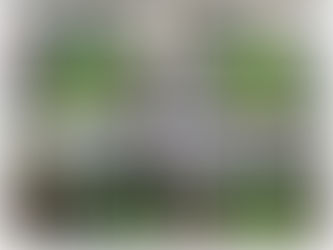 The Very Hungry Caterpillar