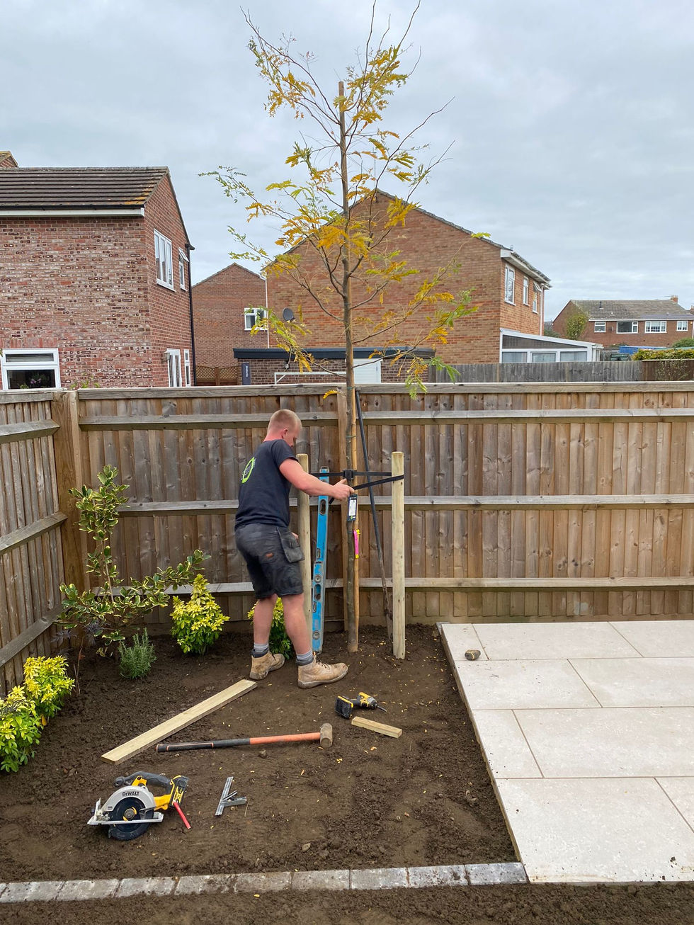 WhatsApp Image 2024-10-27 at 16.06.43.jpeg