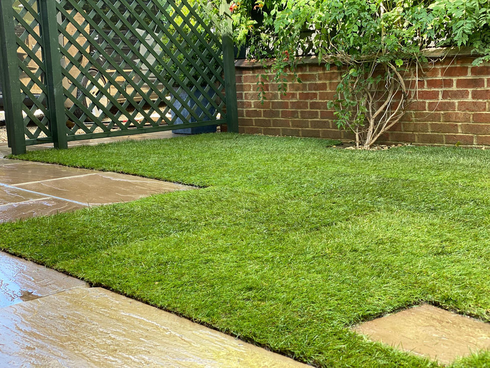 WhatsApp Image 2024-09-18 at 11.59.02 (1).jpeg