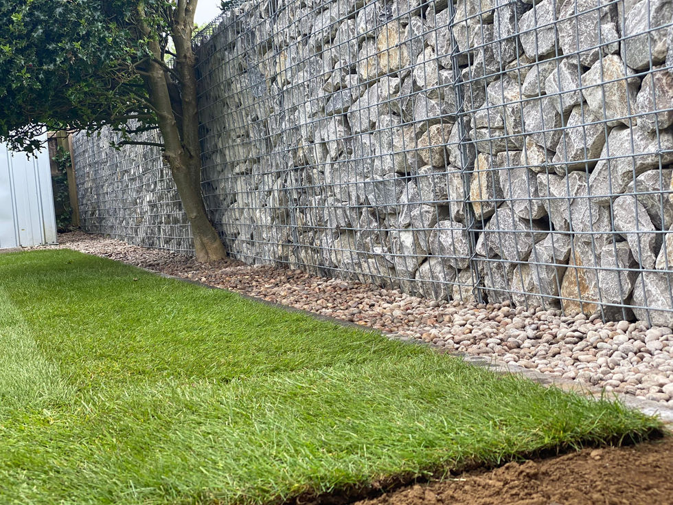 WhatsApp Image 2024-05-18 at 14.08.26.jpeg