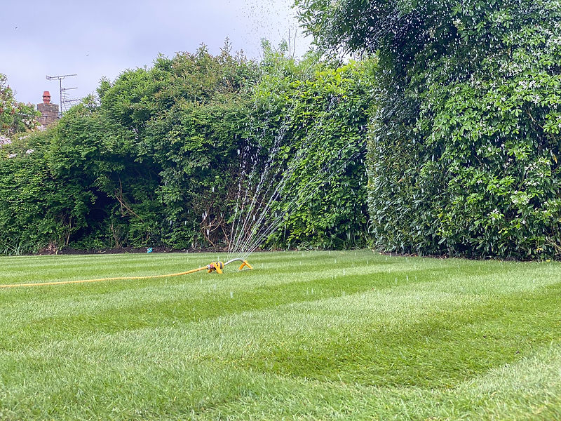 WhatsApp Image 2024-05-18 at 14.08.23 (1).jpeg