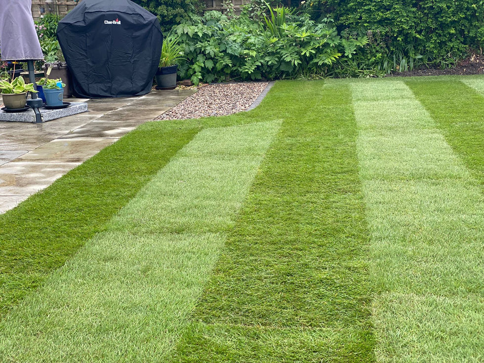 WhatsApp Image 2024-05-18 at 14.08.27.jpeg